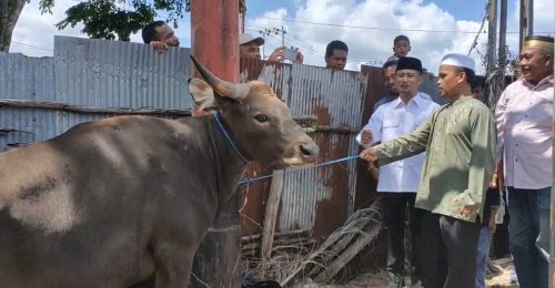 Wali Kota Palangka Raya Serahkan 61 Hewan Kurban 1444 Hijriah Secara Simbolis