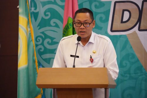 Sahli Yuas Elko : Peran Bidan Sangat Strategis Dalam Menurunkan Angka Kematian Ibu dan Bayi