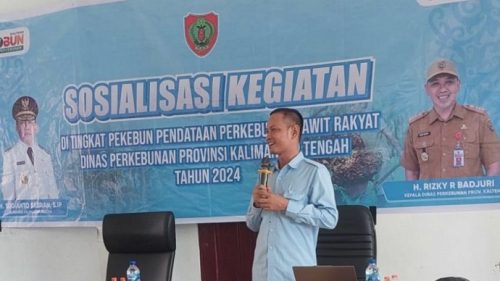 Disbun Kalteng Gelar Sosialisasi Pendataan Perkebunan Sawit Rakyat untuk Tingkatkan Akurasi Data