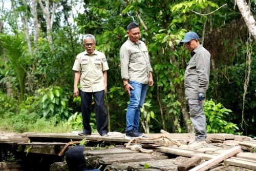 Jalan Menuju Batu Raya Diperbaiki, Kadis PUPR Turun Langsung ke Lapangan