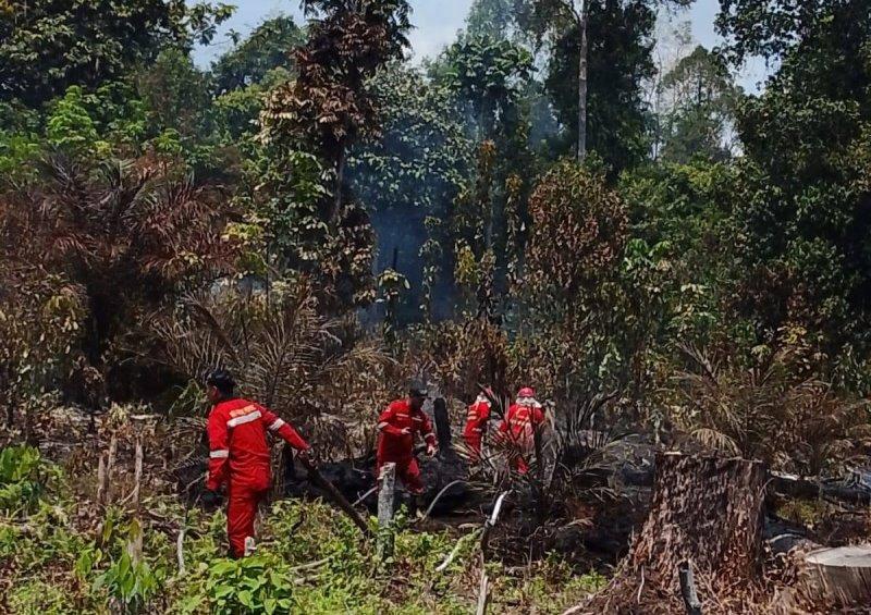 BPBD Barito Utara Tangani Karhutla di Sejumlah Titik, Luas Lahan Terdampak Capai 5,06 Hektare